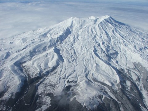 whakapapa---NZ.jpg