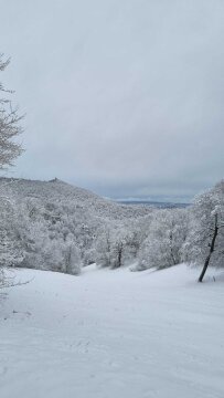 Harang-völgy