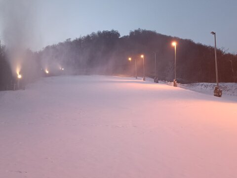 IMG20250211063611.jpg