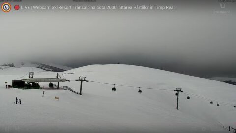 vidra2025-02-16-115844.jpg