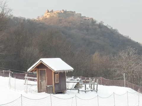 IMG20250217072947.jpg