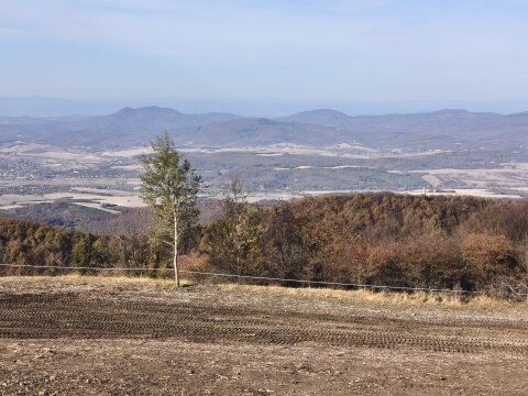 IMG-20261018-145320.jpg