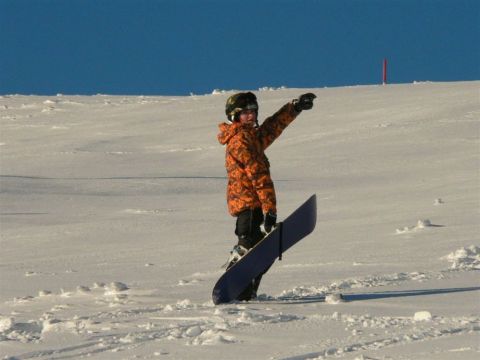 Loci-freeride.jpg