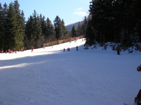 Otscher-.jpg