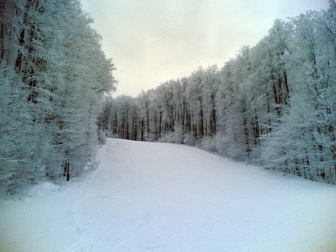 2007-11-17-bankut-2.jpg