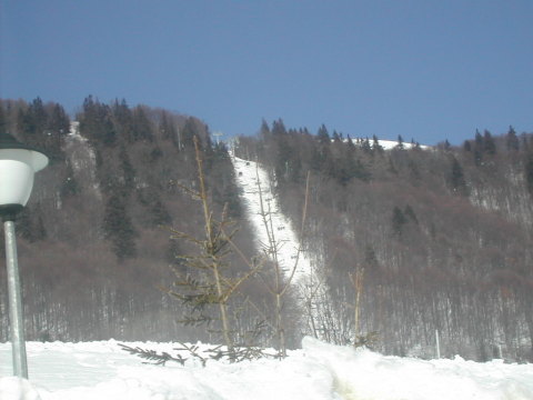 DSCN4750.JPG