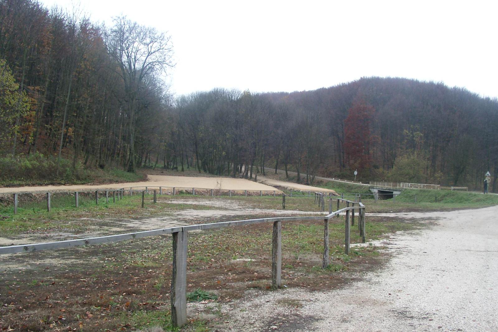 01010766.JPG