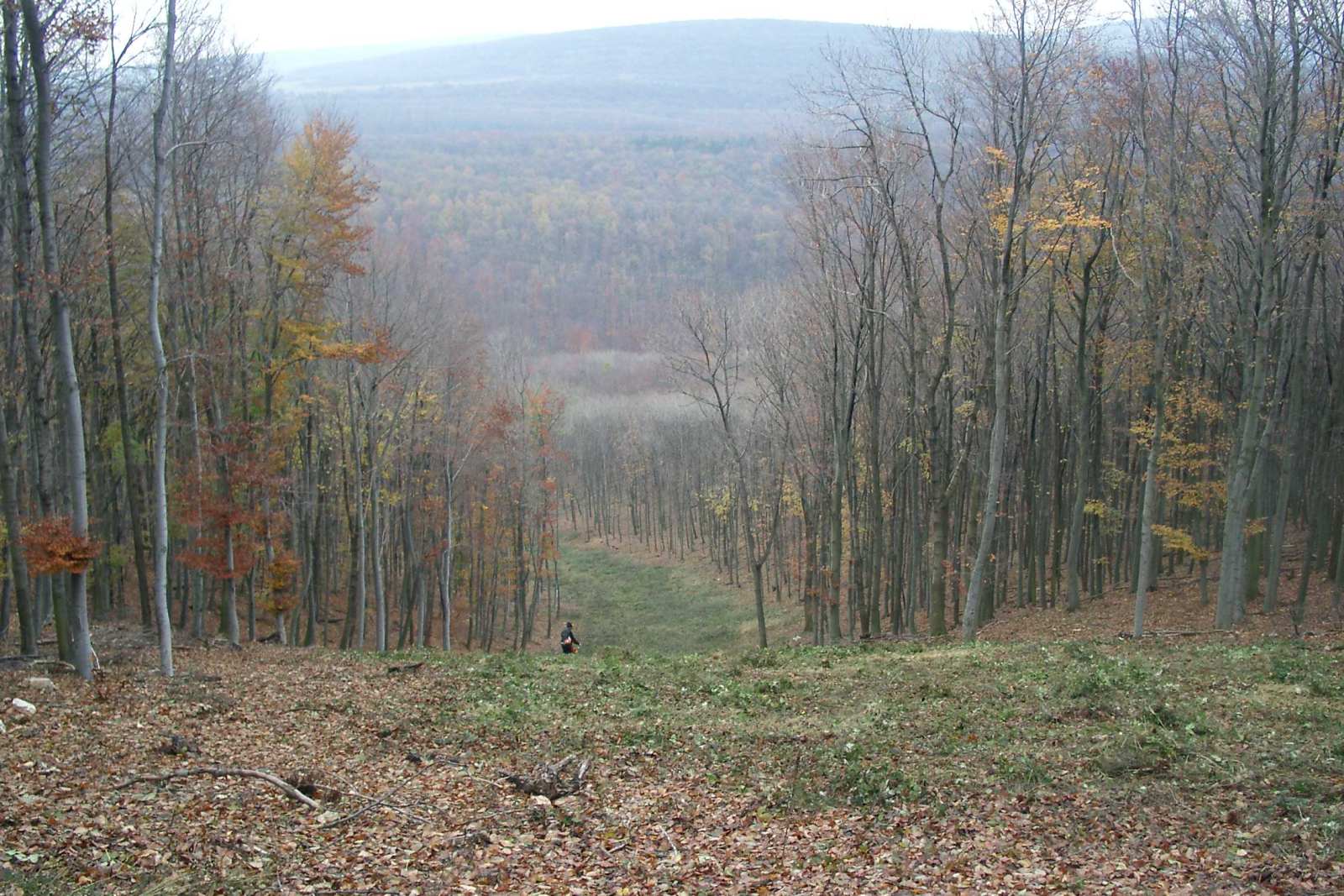 01010784.JPG
