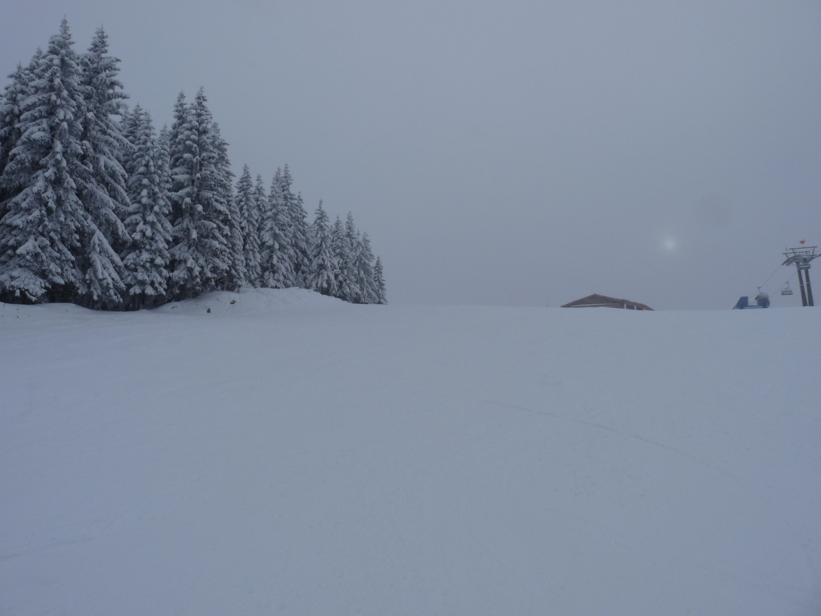 P1010800.JPG