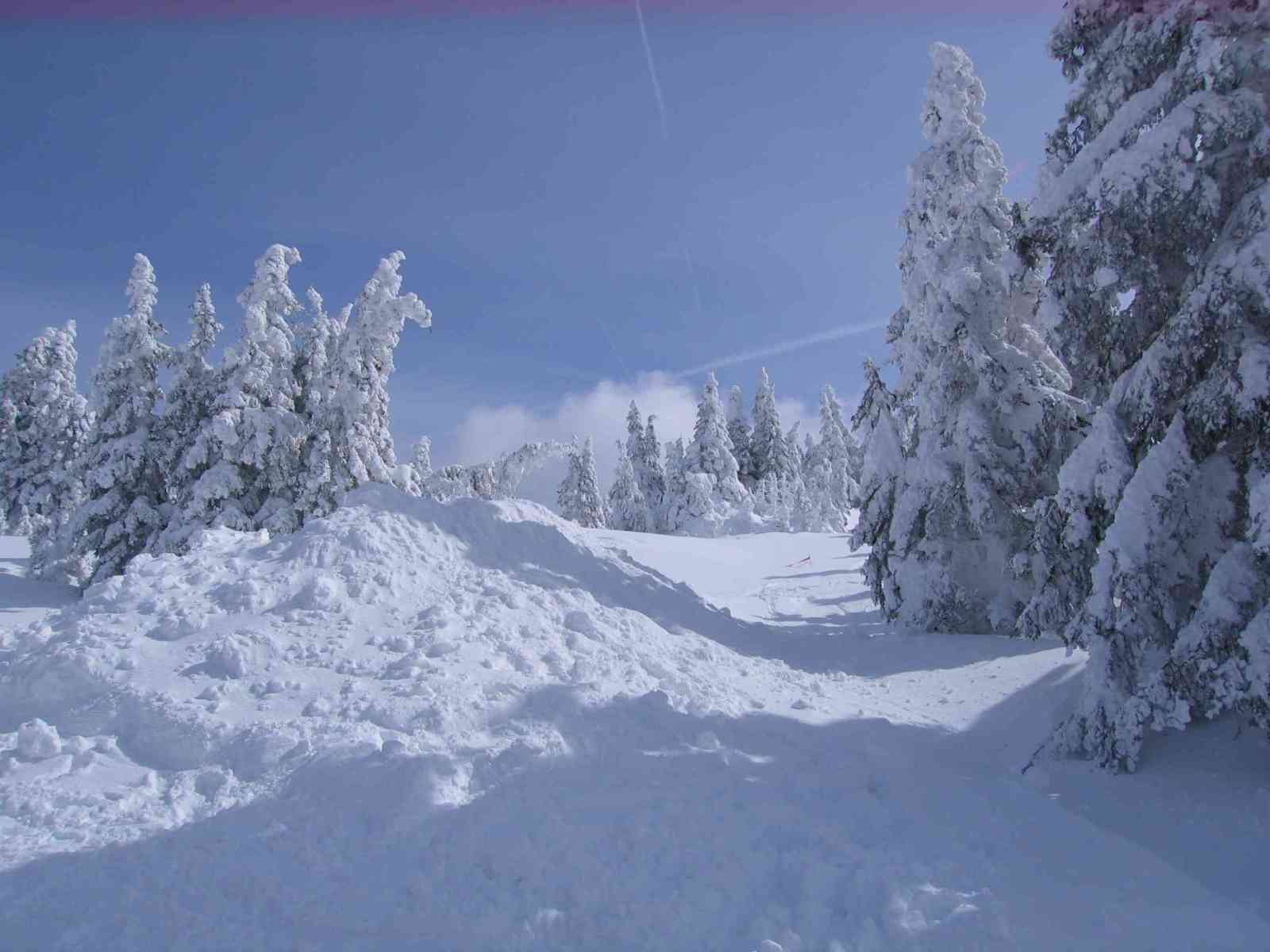 2009.03.14-Semmering-Stuhleck-Picture-026.jpg