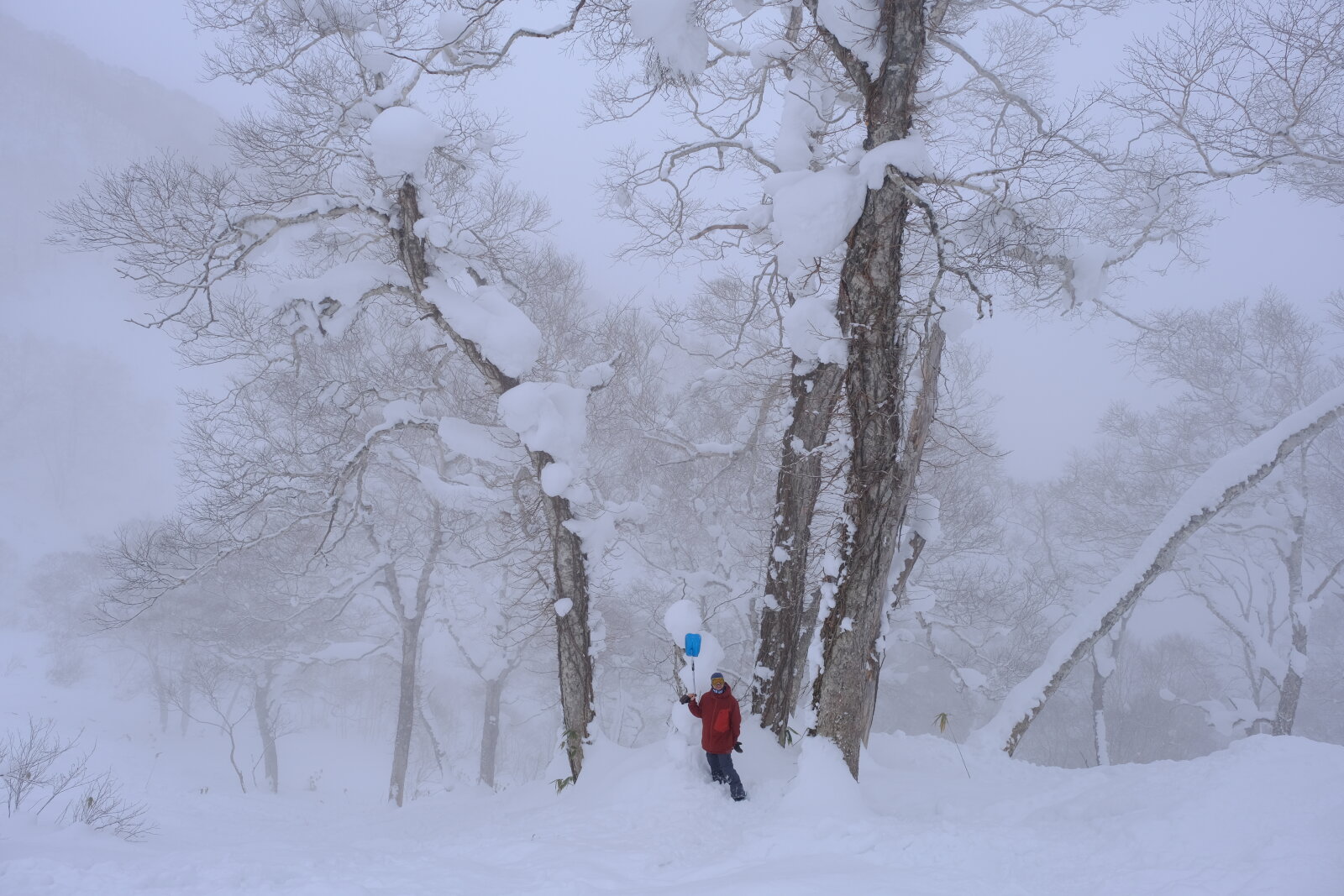 GoBeyond-Snow-trips-Japan-10.JPG