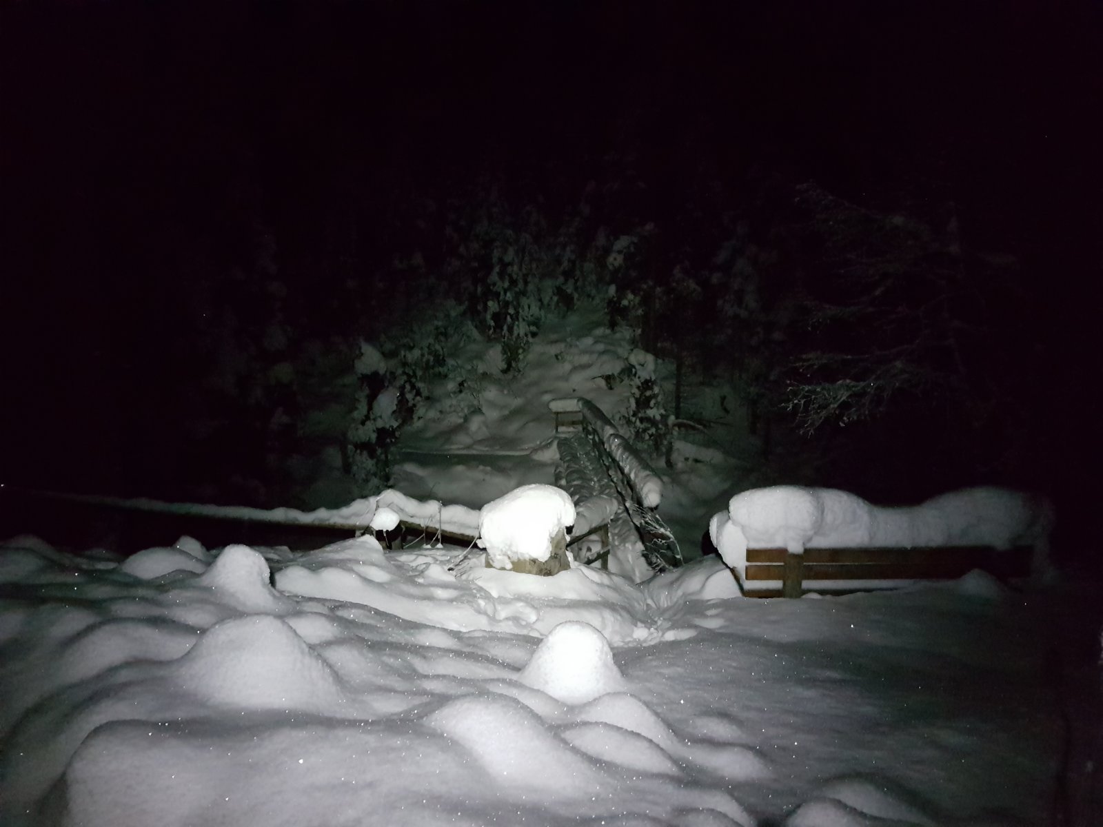 A Reedseehez vezető ösvény kezdete a híddal