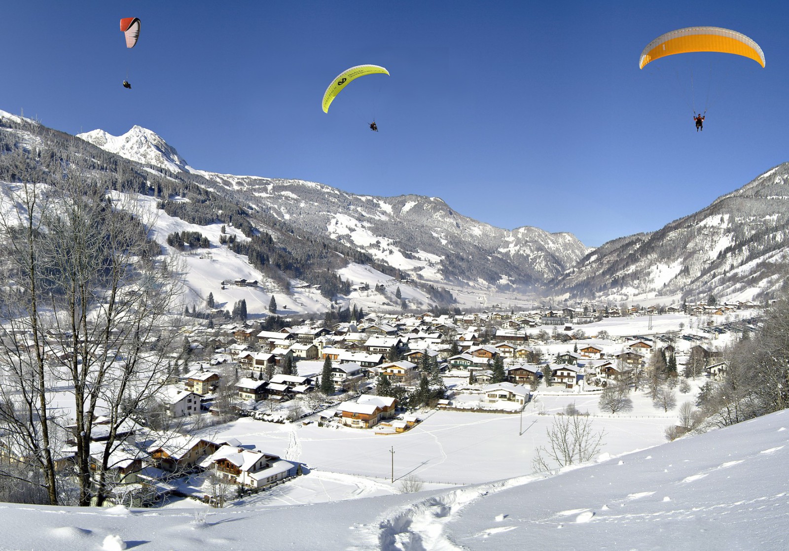 DG-Paraglider-winter.jpg