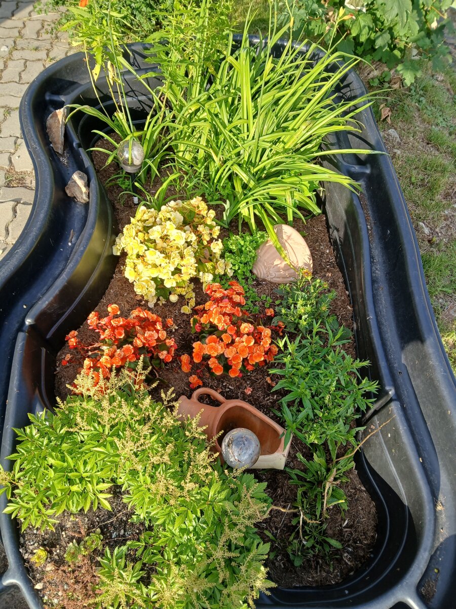 Blumen-Teich.jpg
