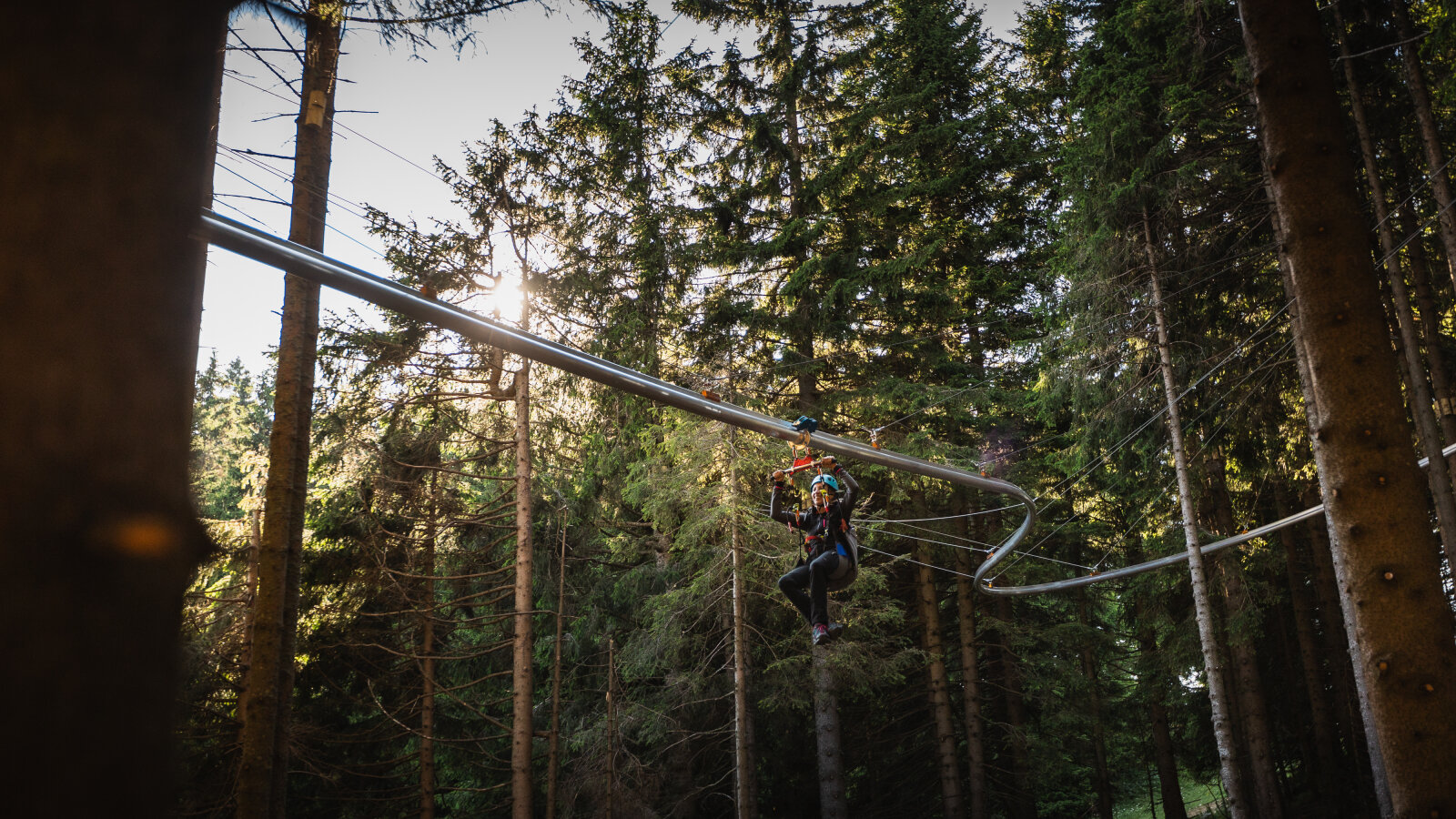 Roller-Coaster-among-treetops-2.jpg