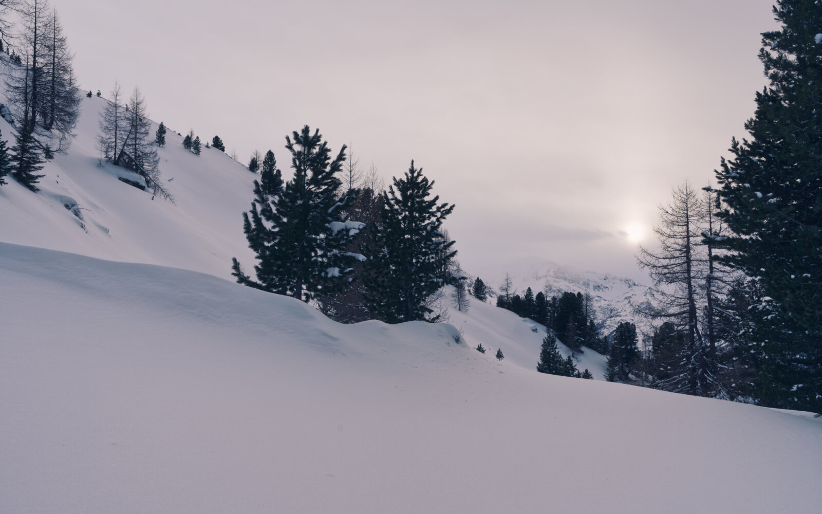 A legmagasabb pont, ameddig felmentem (2020m).