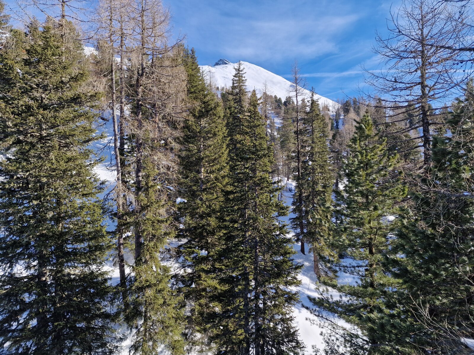 A Graukogel-csúcs a  liftből