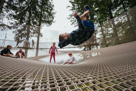 Treetop-walk-3.jpg