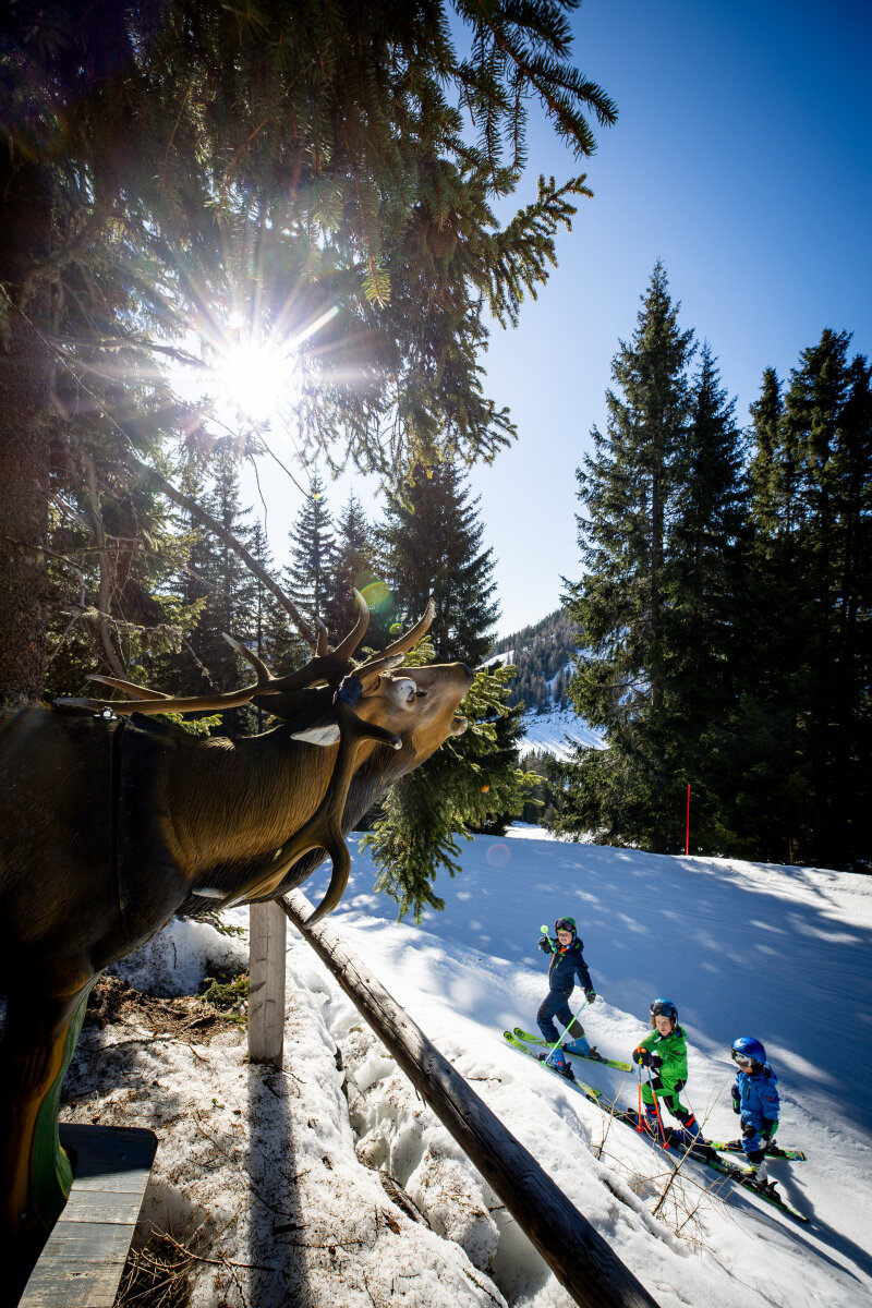 Wildes Lachtal | Fotó: Tom Lamm