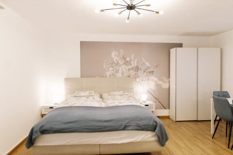 Haus-Montis-Studio-franciaagy.jpg