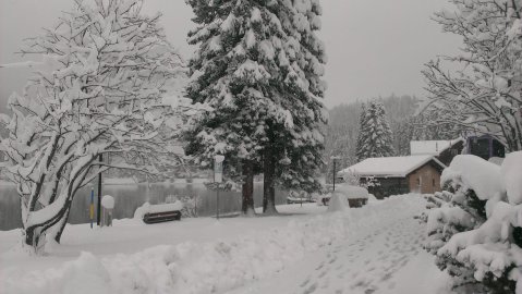 Arosa (CH)