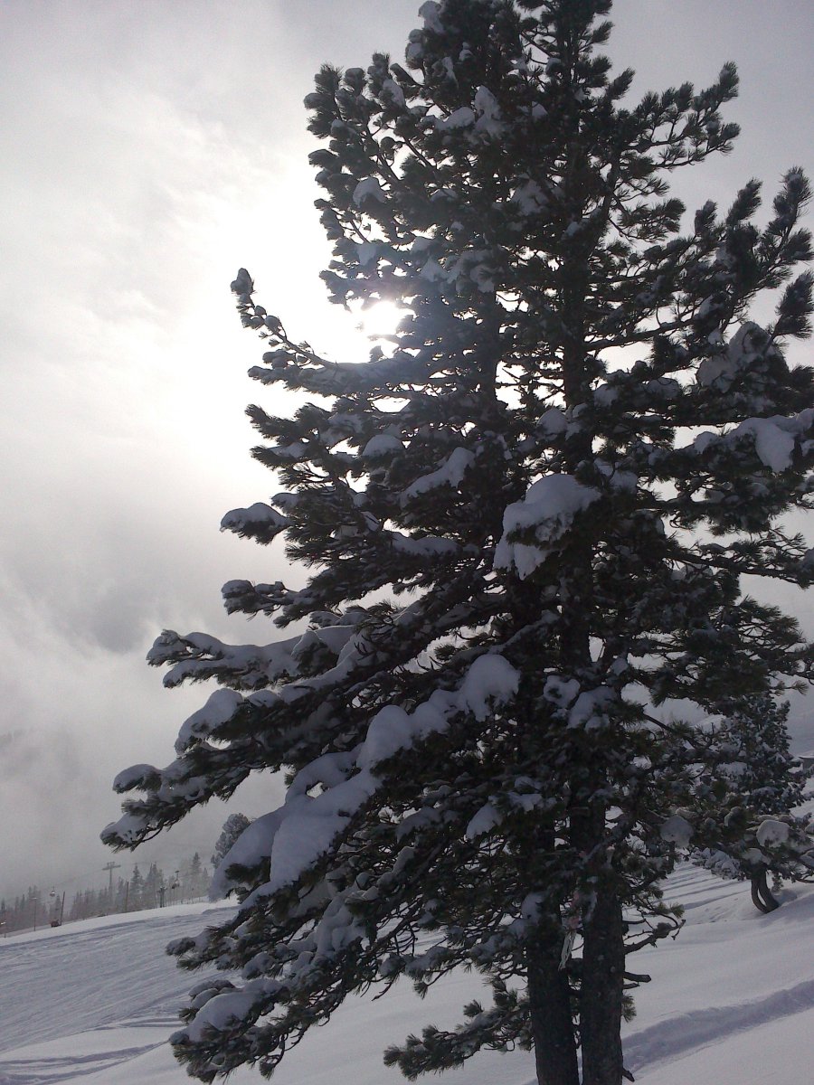 2015-01-29-Hochzillertal-Hochfgen-6.jpg