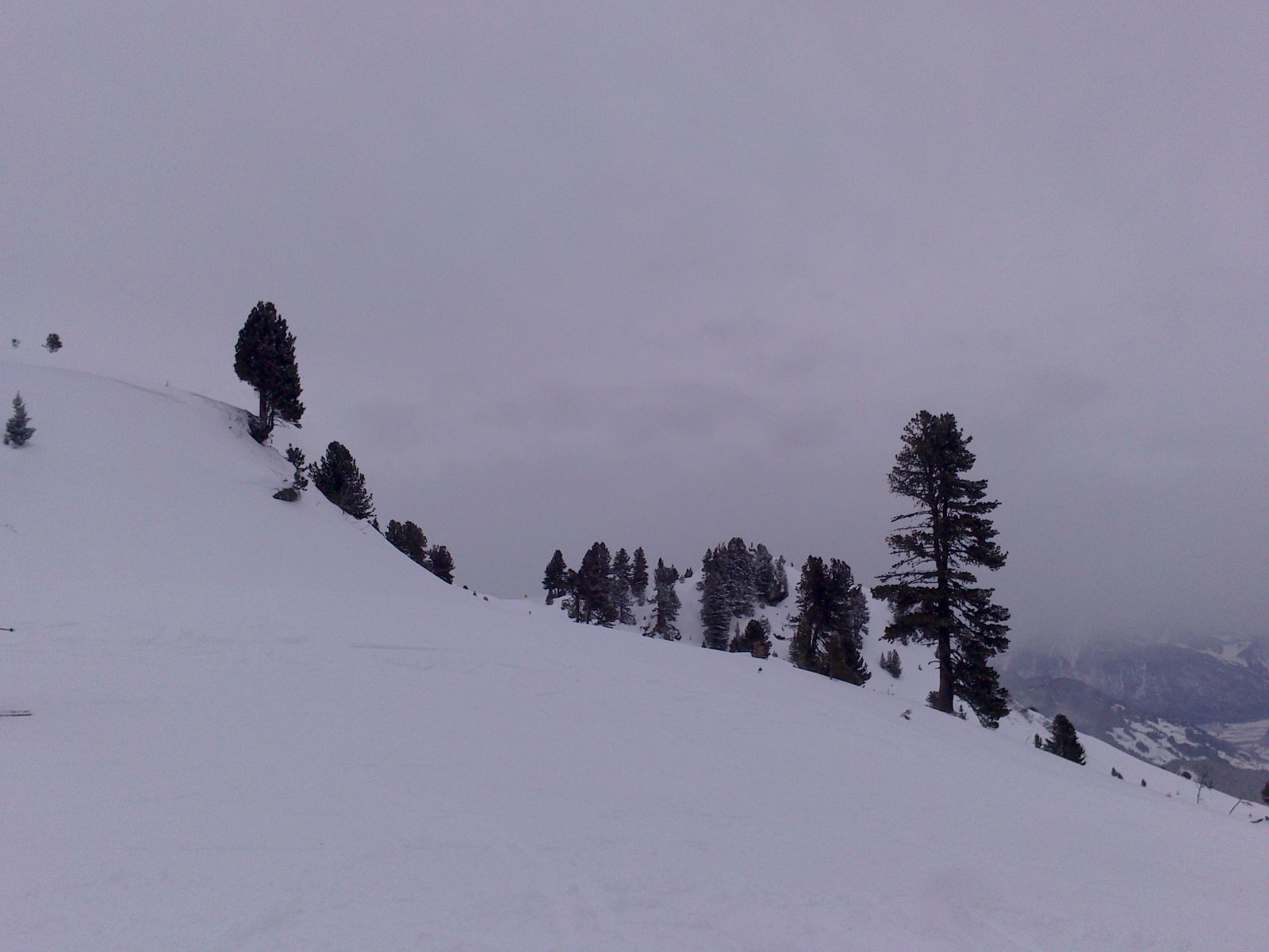 2015-01-30-Hochzillertal-Hochfgen-15.jpg