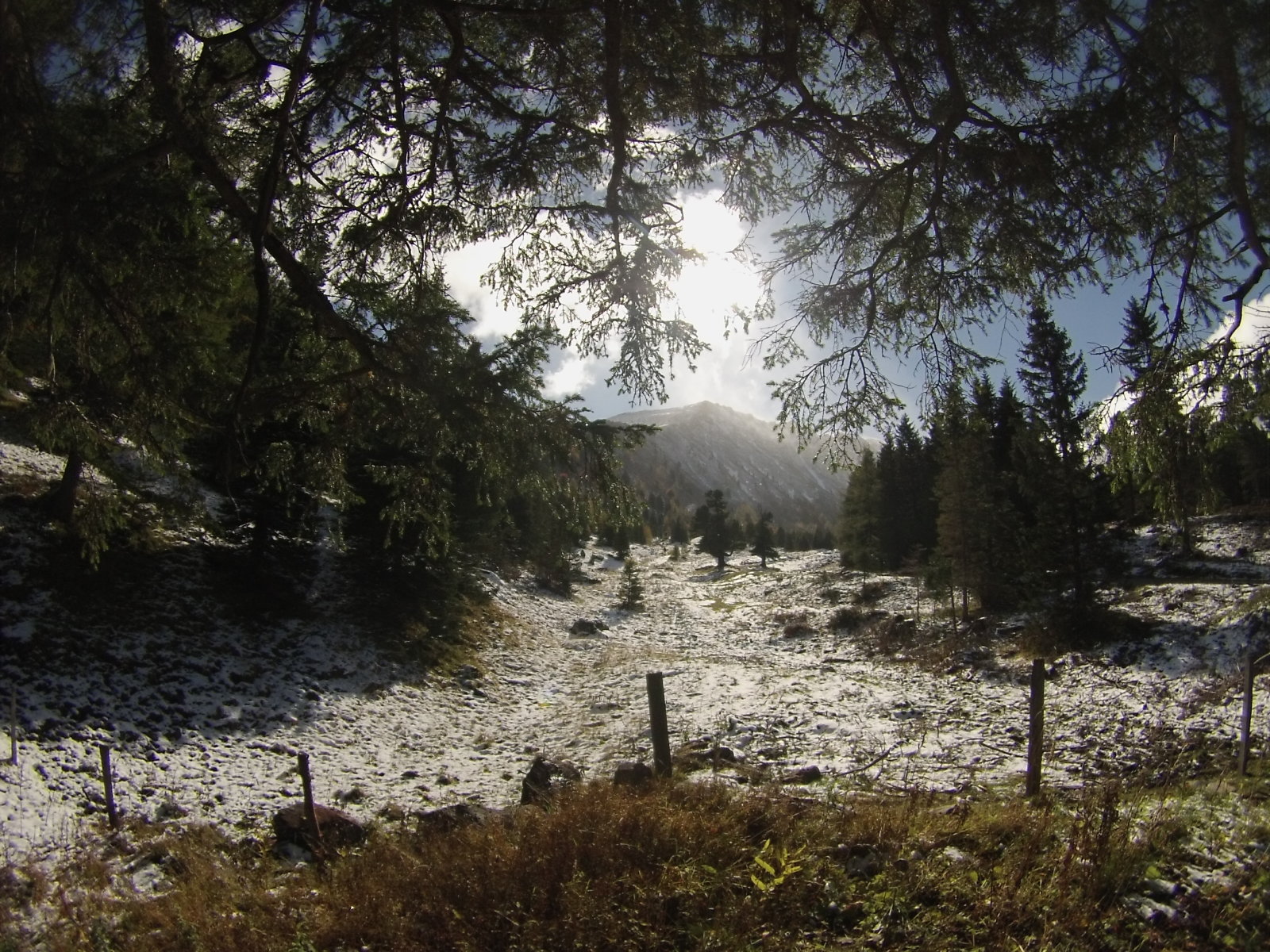 Úton a Hauseckre (1.982 m)