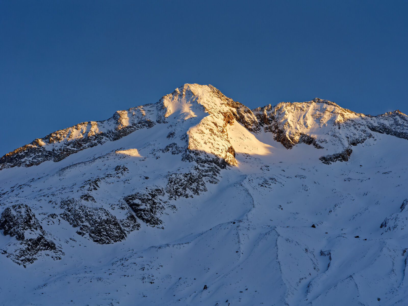 Tischlerkarkopf