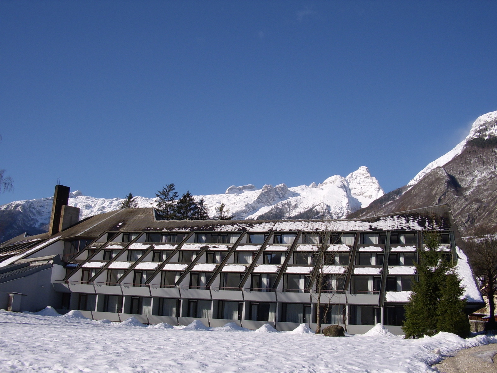 06.jpg