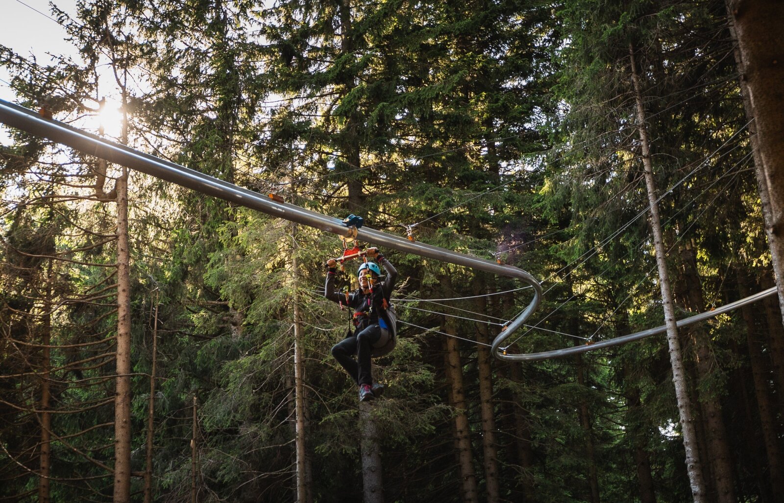 Roller-Coaster-among-treetops-2.jpg