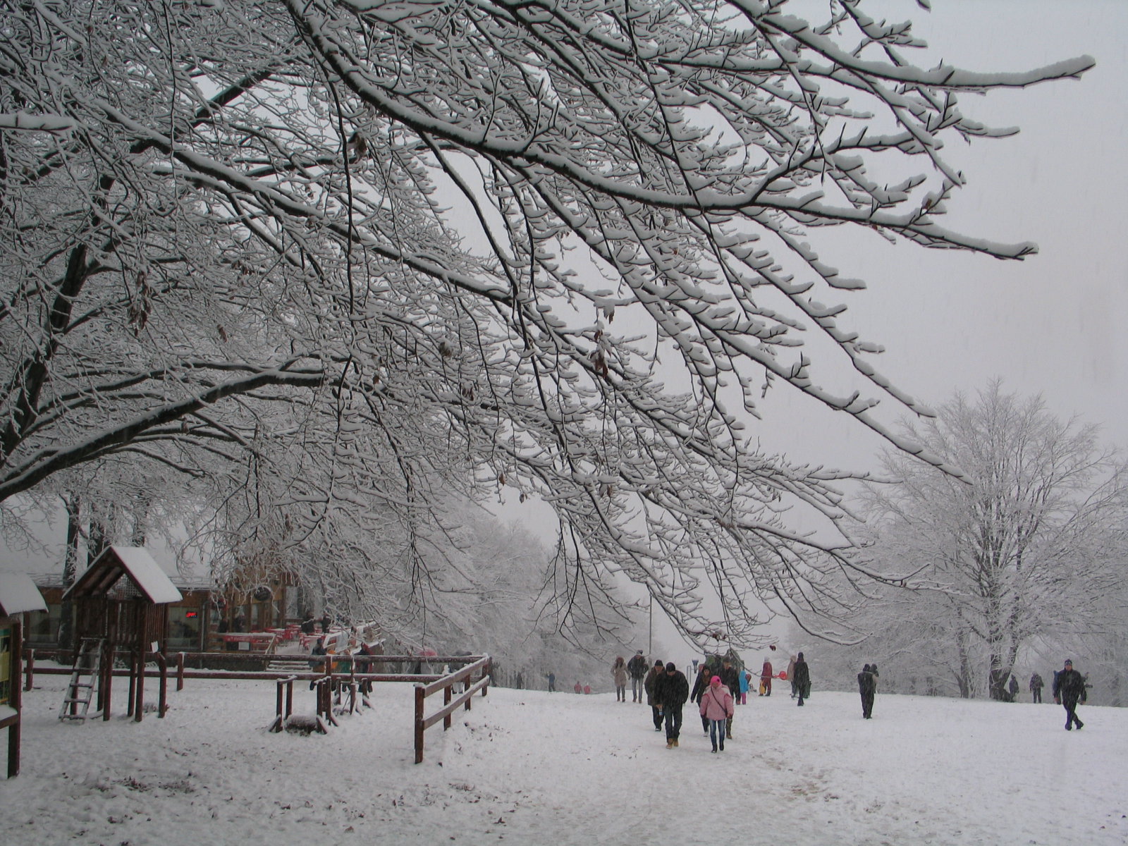 Kékestető - 2015. november 22-én - az idei első havazás után