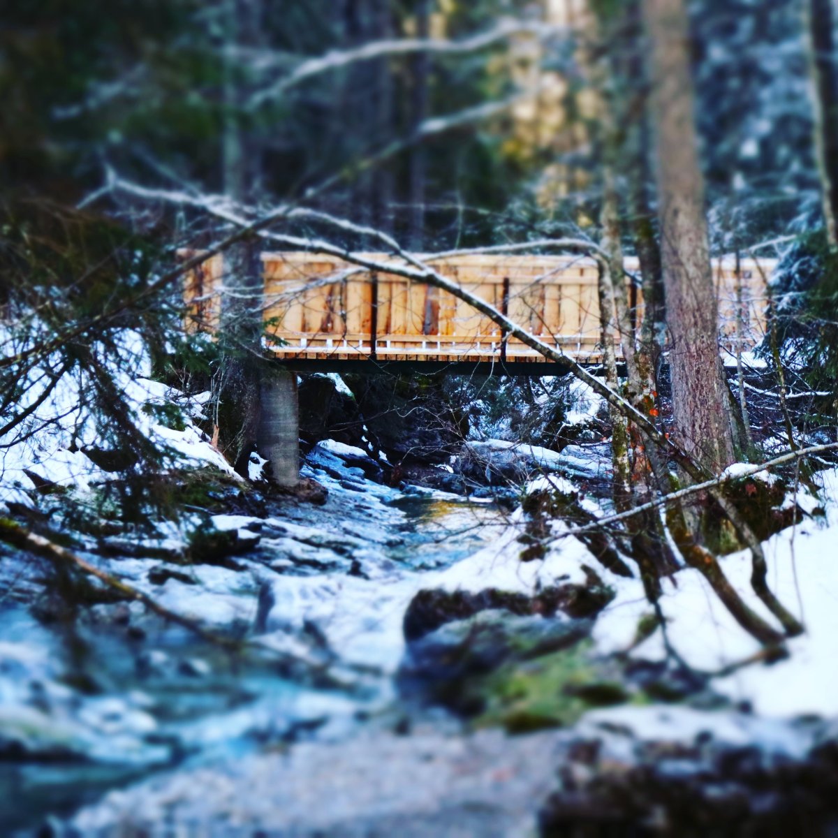 Schwarzwasserbach Naturbrücke