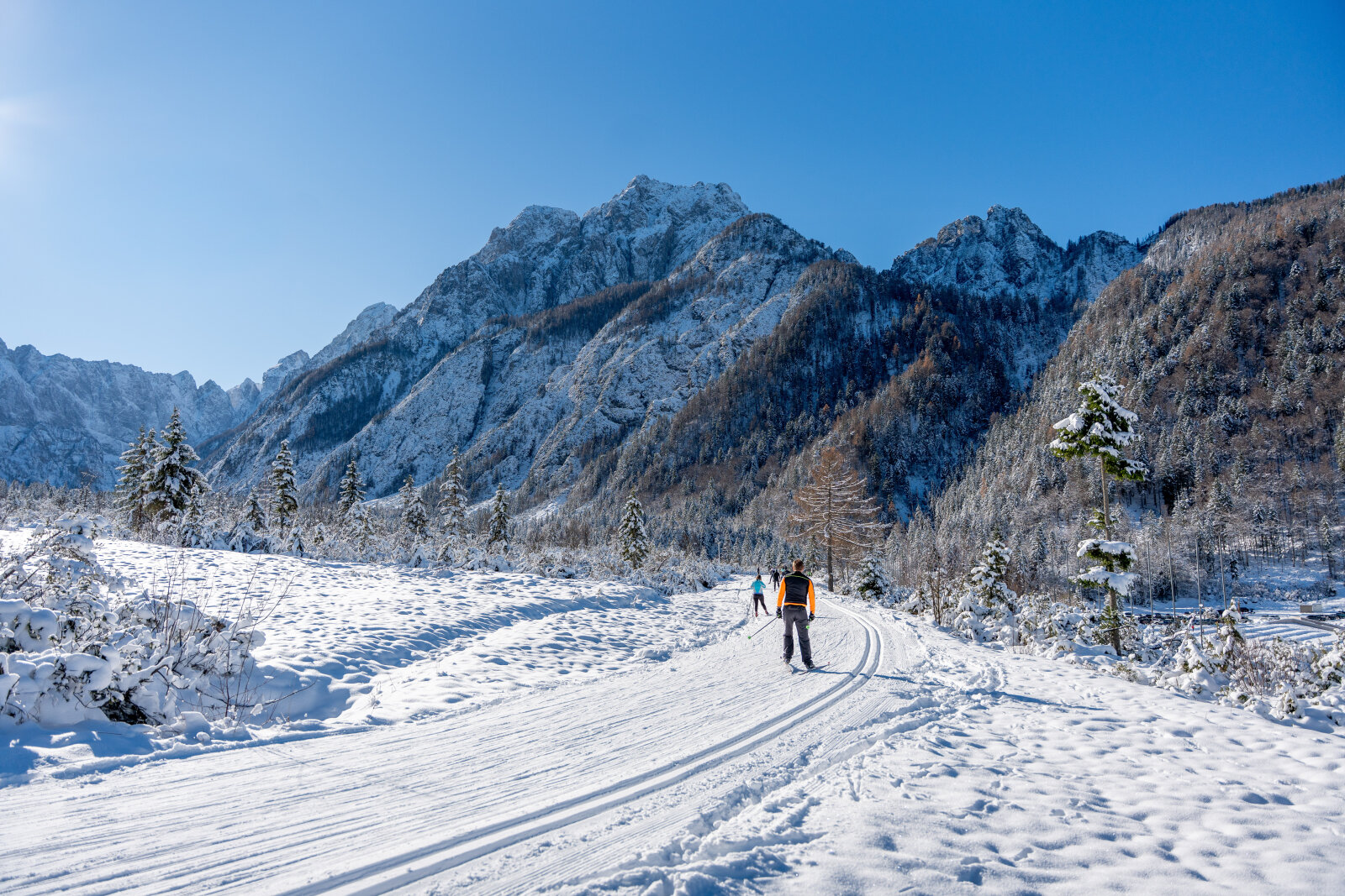 NC-Planica-Cross-Country-Skiing-Photo-Benjamin-Crv-96.jpg