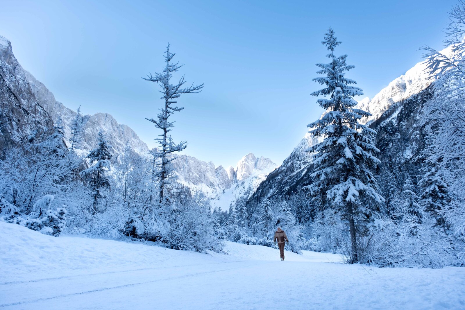 Kirándulás a hófedte tájon | Fotó: Gašper Škorja