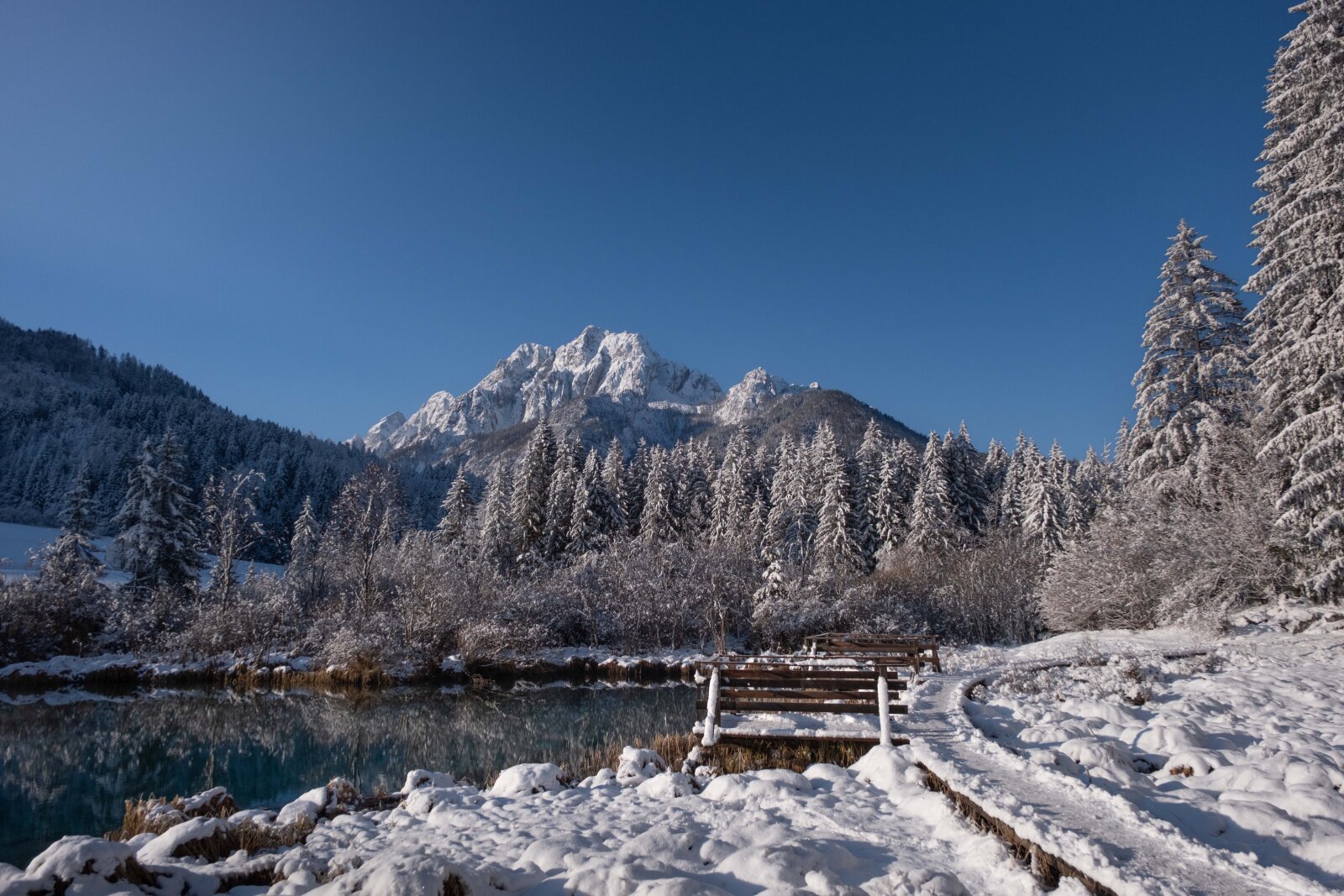 Zelenci-photo-Gasper-Skorja.jpg