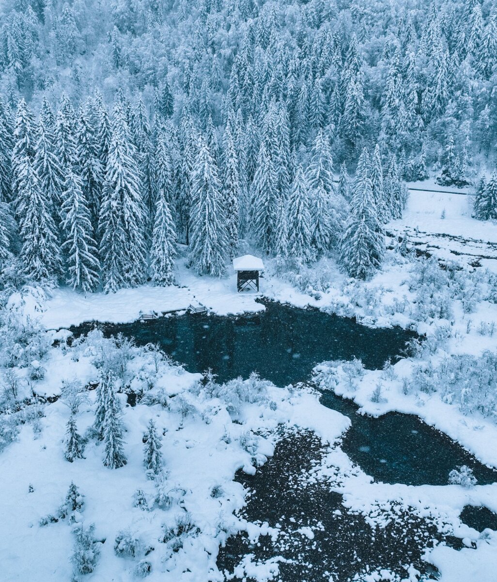 Zelenci | Fotó: Giorgia Meloni