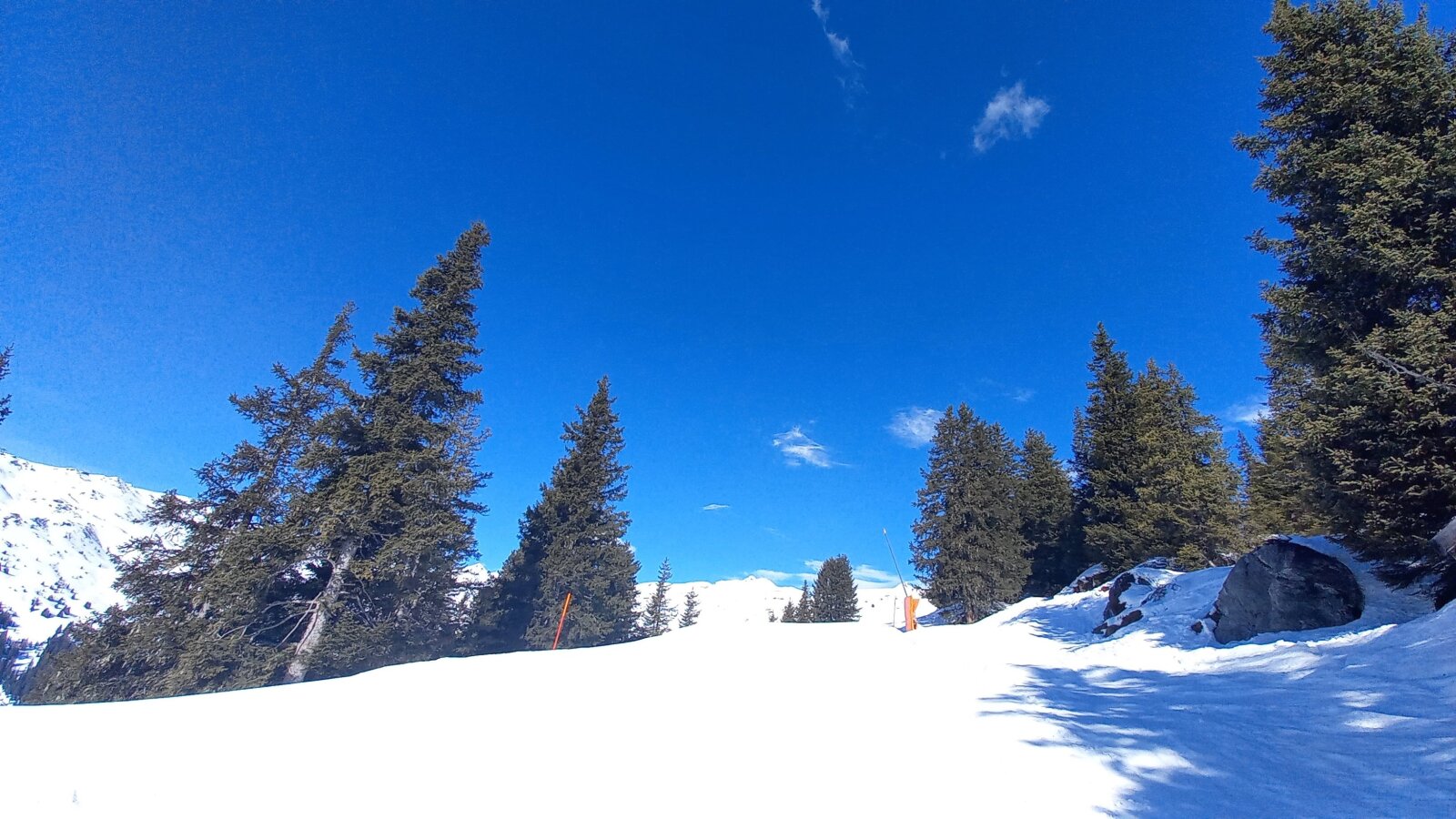 Közeledek a völgybe, megjelentek a fenyők