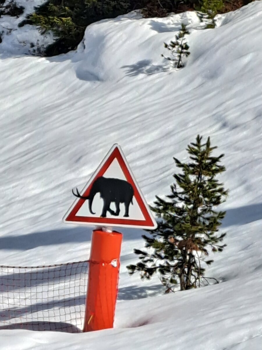 Mammutveszély Courchevelben :)