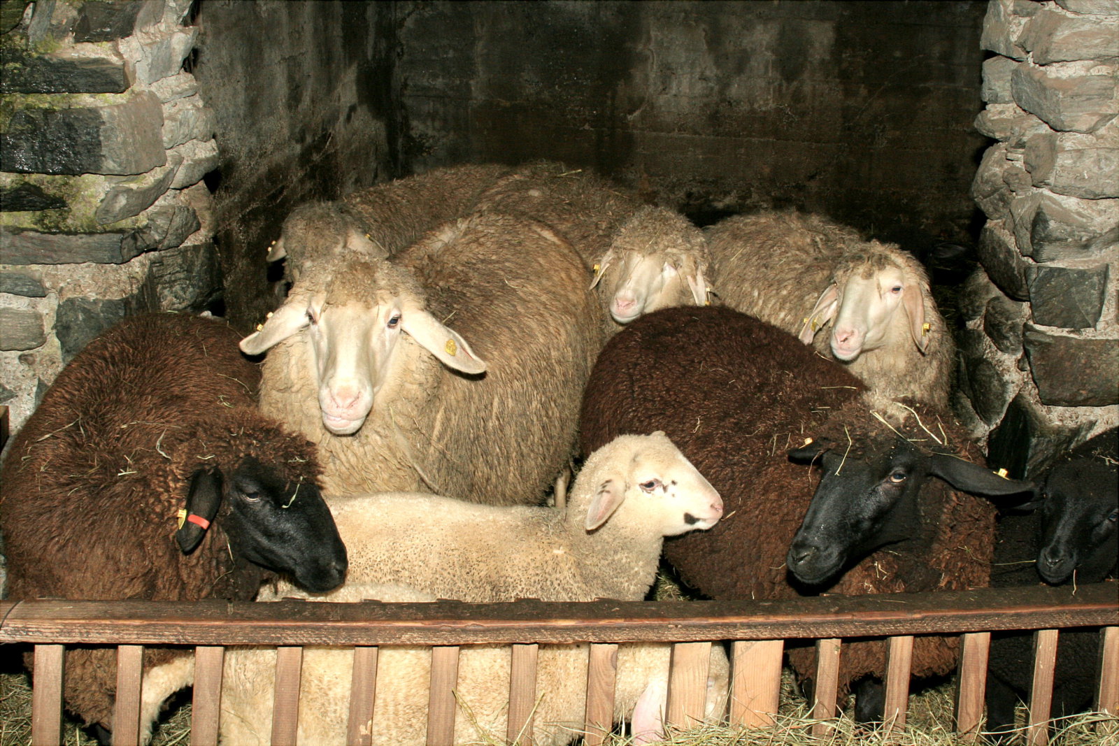 malerhof-nassfeld0022.JPG