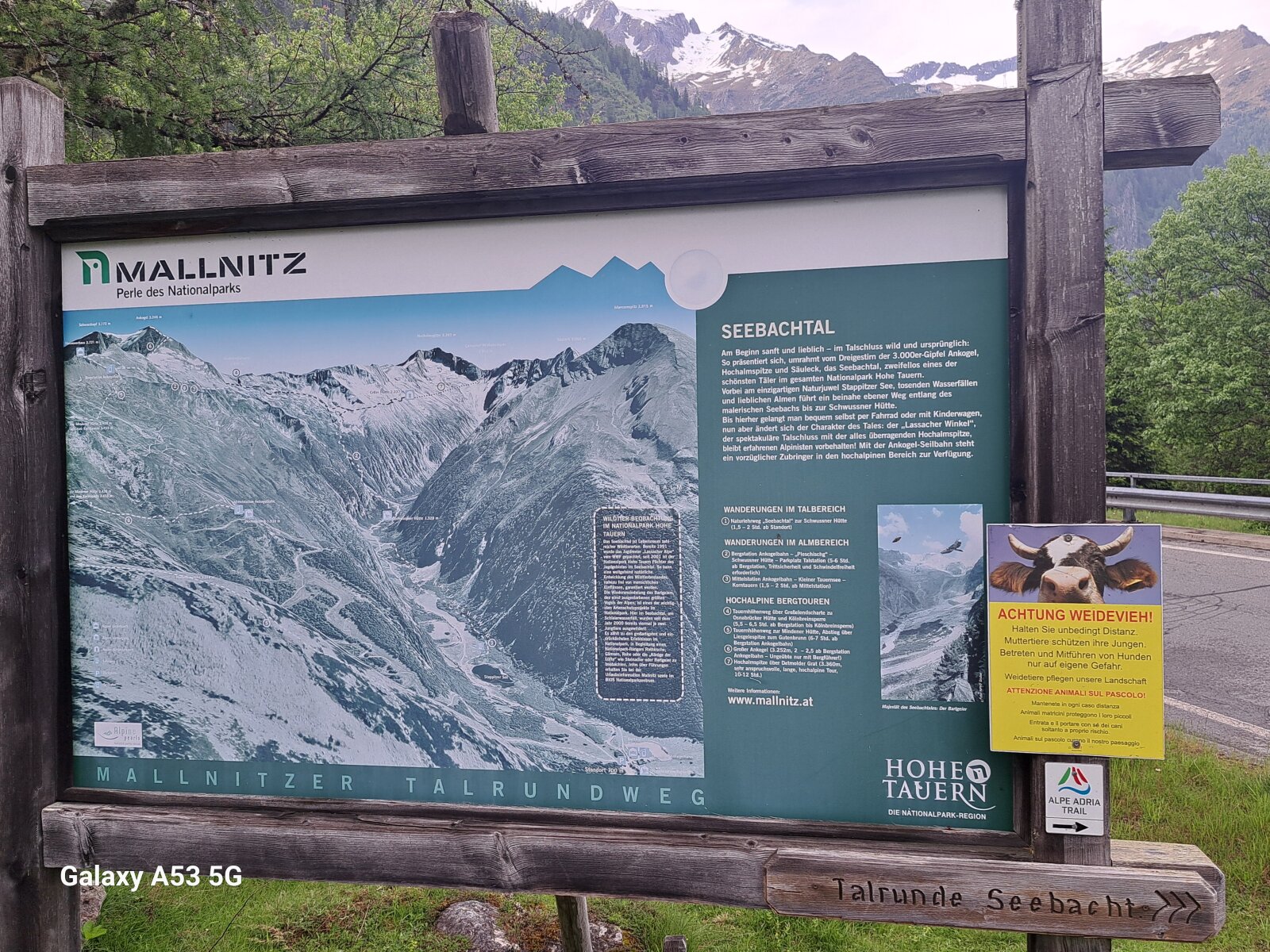 20250601-193801.jpg