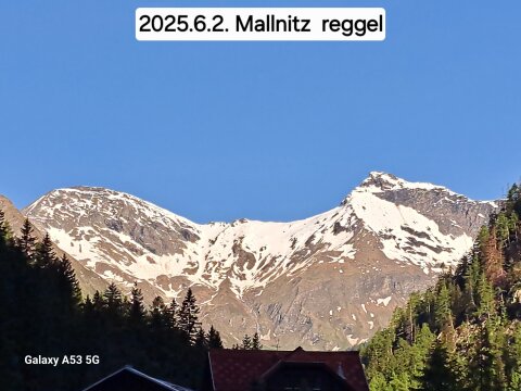 20250602-074145.jpg
