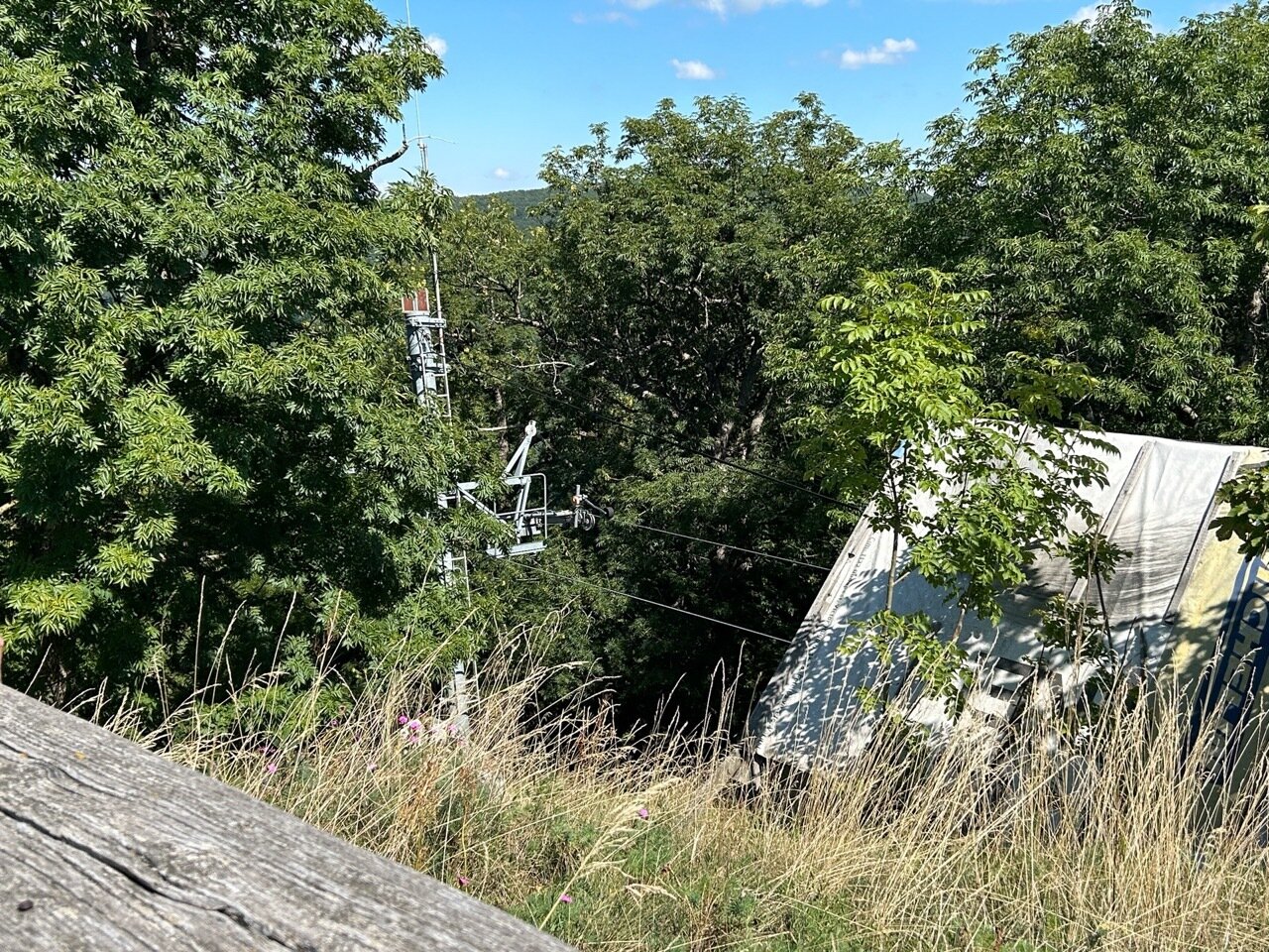06-sielok-2025-nhh--nagy.jpeg