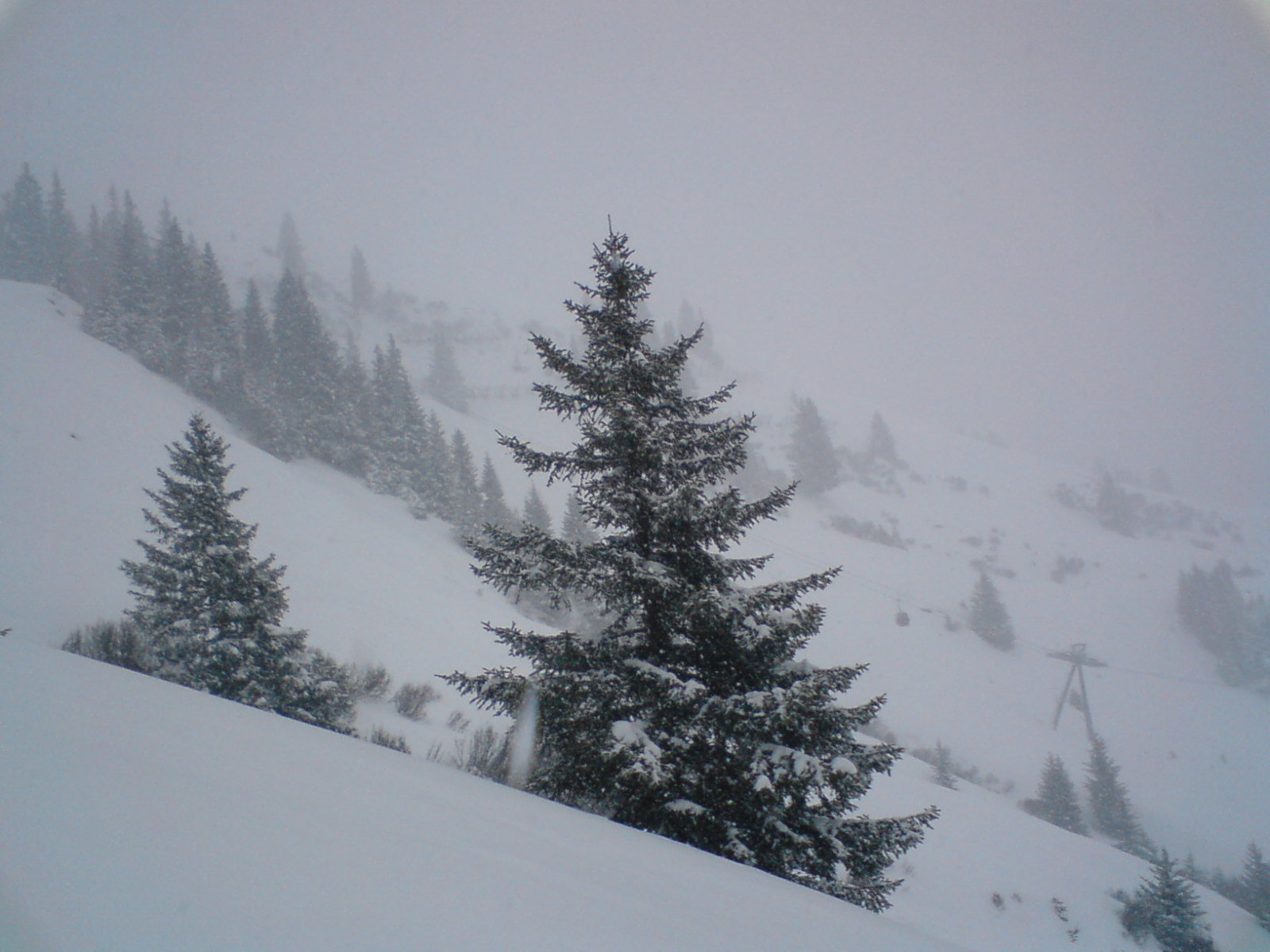 Resterhöhe, Freeride