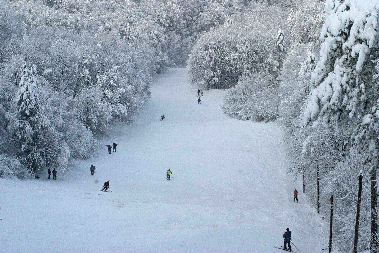 A pécsi sípálya 2008. január 4-én | Fotó: Fóris Gábor