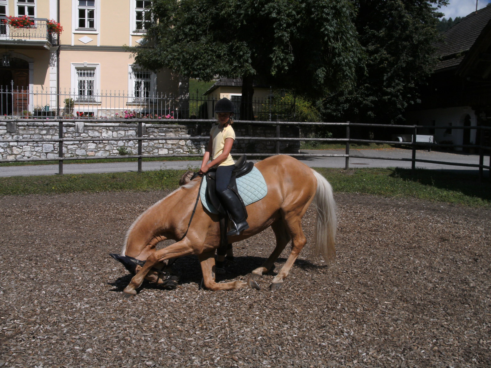 pension-pilsachhof03.JPG
