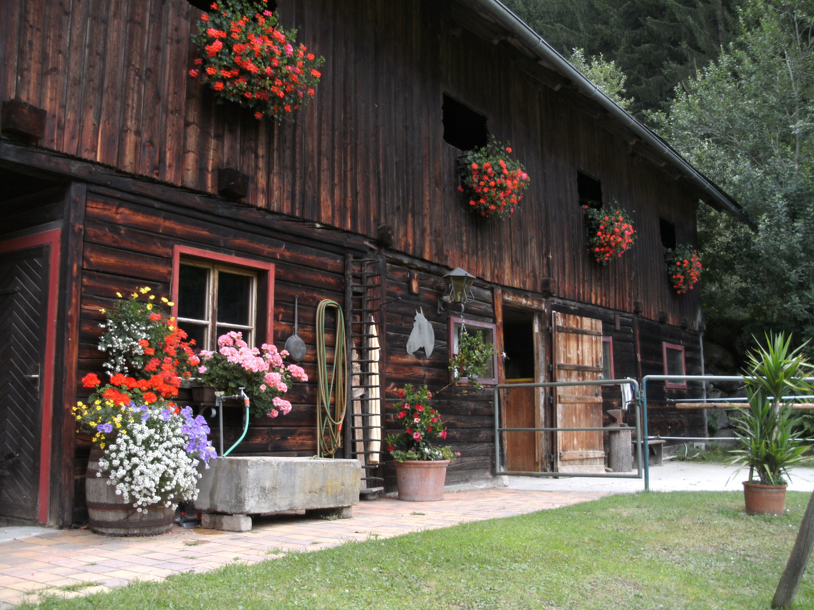 pension-pilsachhof12.JPG