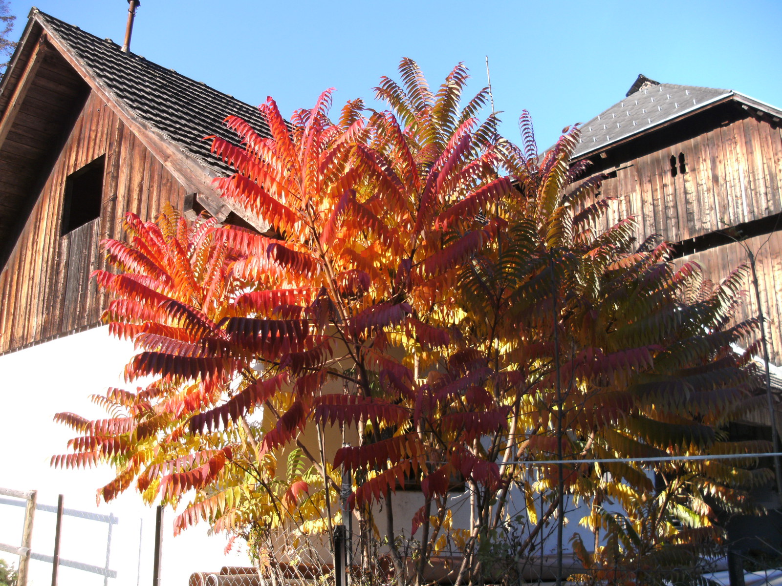 pension-pilsachhof15.JPG