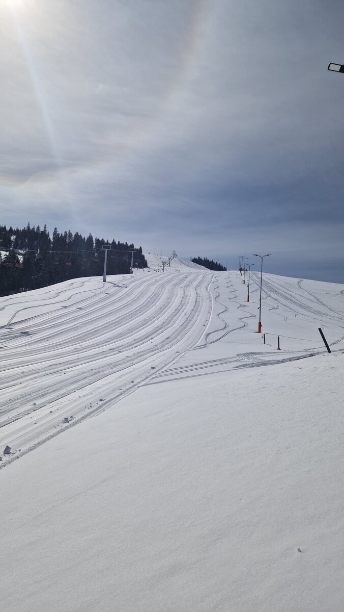 Prislop síterepe a Borsai Hágón