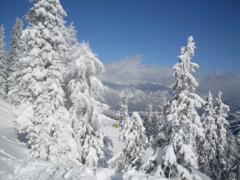 Schladming-2011-01-12-15-244.jpg